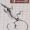 ETHNICIAN