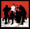 White Blood Cells