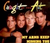 MY ARMS KEEP MISSING YOU