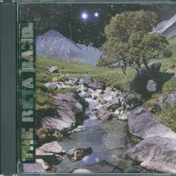 The Beta Band The Beta Band Фирменный CD The Beta Band The Beta Band Фирменный CD