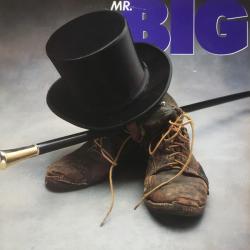 MR. BIG MR. BIG Виниловая пластинка 