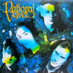 National Velvet National Velvet Виниловая пластинка National Velvet National Velvet Виниловая пластинка