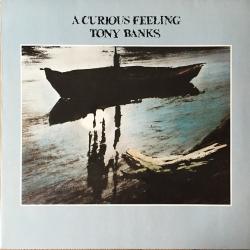 TONY BANKS A Curious Feeling Виниловая пластинка TONY BANKS A Curious Feeling Виниловая пластинка