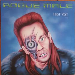 ROGUE MALE First Visit Виниловая пластинка ROGUE MALE First Visit Виниловая пластинка