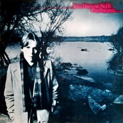 PETER BAUMANN Trans Harmonic Nights Виниловая пластинка 