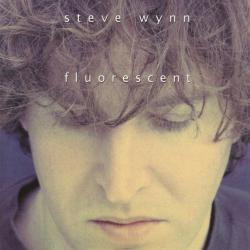 Steve Wynn Fluorescent Фирменный CD Steve Wynn Fluorescent Фирменный CD