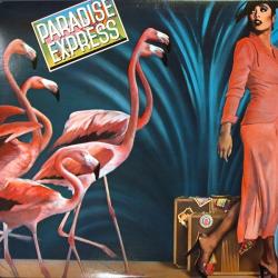 PARADISE EXPRESS PARADISE EXPRESS Виниловая пластинка 