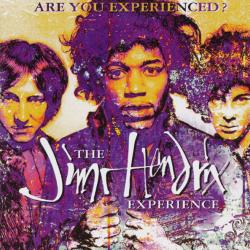 JIMI HENDRIX EXPERIENCE Are You Experienced? Фирменный CD JIMI HENDRIX EXPERIENCE Are You Experienced? Фирменный CD