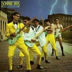 DONNIE IRIS BACK ON THE STREETS Виниловая пластинка DONNIE IRIS BACK ON THE STREETS Виниловая пластинка