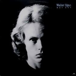 WALTER EGAN NOT SHY Виниловая пластинка 