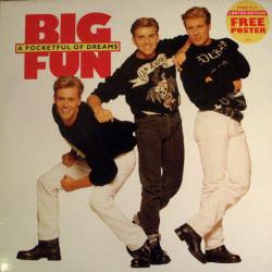 Big Fun A Pocketful Of Dreams Виниловая пластинка Big Fun A Pocketful Of Dreams Виниловая пластинка