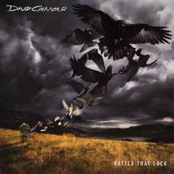 DAVID GILMOUR RATTLE THAT LOCK Виниловая пластинка 