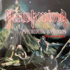 PSYCHEDELIC WARLORDS