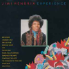 EXPERIENCE