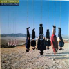 TRY ANYTHING ONCE