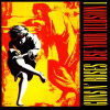 USE YOUR ILLUSION I