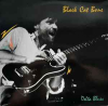 DELTA BLUES