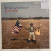 Dear America