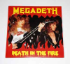 DEATH IN THE FIRE