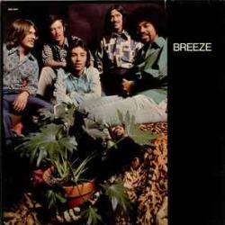BREEZE BREEZE Виниловая пластинка 