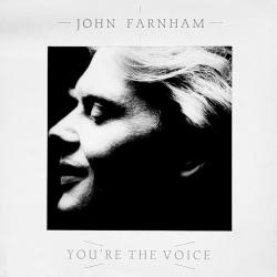 JOHN FARNHAM YOU'RE THE VOICE Виниловая пластинка JOHN FARNHAM YOU'RE THE VOICE Виниловая пластинка