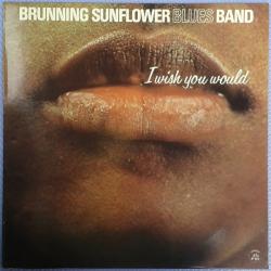 BRUNNING SUNFLOWER BLUES BAND I WISH YOU WOULD Виниловая пластинка BRUNNING SUNFLOWER BLUES BAND I WISH YOU WOULD Виниловая пластинка