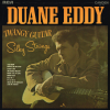 TWANGY GUITAR SILKY STRINGS