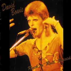 DAVID BOWIE ROCK-N-ROLL SUICIDE Виниловая пластинка DAVID BOWIE ROCK-N-ROLL SUICIDE Виниловая пластинка