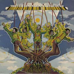 The 5th Dimension EARTHBOUND Виниловая пластинка The 5th Dimension EARTHBOUND Виниловая пластинка