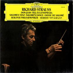 STRAUSS Don Juan · Till Eulenspiegel · Salomes Tanz Виниловая пластинка 