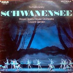 TSCHAIKOWSKY Schwanensee Виниловая пластинка 