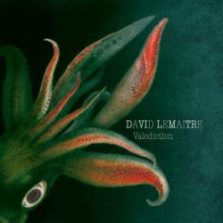 David Lemaitre Valediction Фирменный CD 