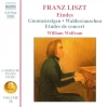 Etudes: Gnomenreigen • Waldesrauschen • Etudes De Concert