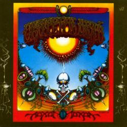 GRATEFUL DEAD Aoxomoxoa Фирменный CD 