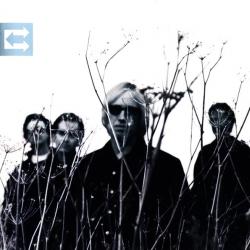 TOM PETTY AND THE HEARTBREAKERS ECHO Фирменный CD TOM PETTY AND THE HEARTBREAKERS ECHO Фирменный CD