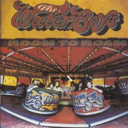 The Waterboys Room To Roam Фирменный CD The Waterboys Room To Roam Фирменный CD