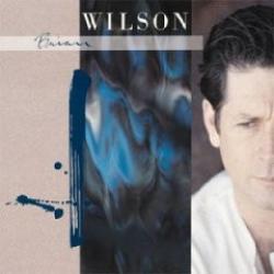 BRIAN WILSON Brian Wilson Фирменный CD BRIAN WILSON Brian Wilson Фирменный CD